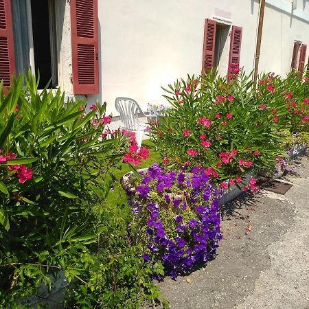 Albergo Grifone 1891 Peschiera del Garda Buitenkant foto